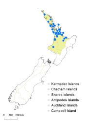 Osmunda regalis distribution map based on databased records at AK, CHR, NZFRI and WELT.
 Image: K. Boardman © Landcare Research 2014 
